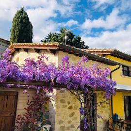 Il Cortile delle Rose Holiday House, Hotel in Perugia