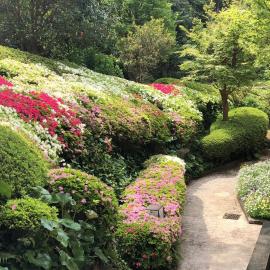 伊道荘園, hotel din Futo