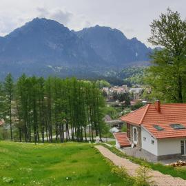 Castelul Cantacuzino, готель у місті Буштені