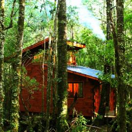 Cabañas Bosque Milenario, hotel din Coñaripe