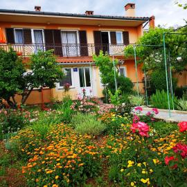 Naomi's Sunshine – hotel w mieście Cres