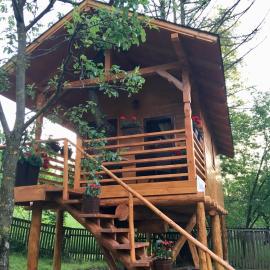Domeniul Horj Casa din Cireș Moisei, Hotel in Moisei