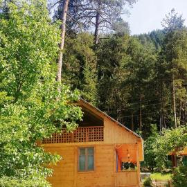 Guest House Ilia: Borcomi şehrinde bir otel