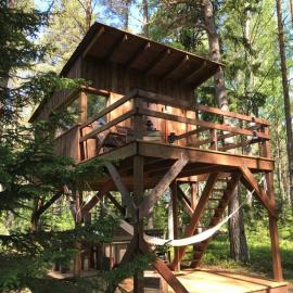 Tahkuna tree-house