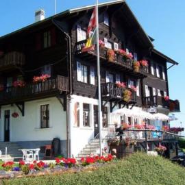 Hôtel de Torgon, готель у місті Vionnaz