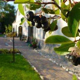 Viesnīca Aronia Park pilsētā Lubiechowa