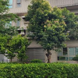 Toucheng Homestay, ξενοδοχείο σε Toucheng