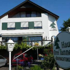Haus Drei Tannen, ξενοδοχείο σε Schieder-Schwalenberg