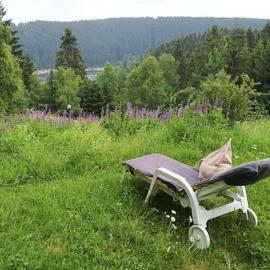 Harz-See-Lodge