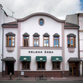 Penzion Zelená Žába, hotel en Pardubice