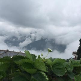 Benus, hotel v destinácii Darjeeling