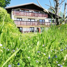 Ferienwohnung Tschengla mit eigener Sonnenterrasse - Wiese - Wlan