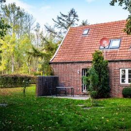Zugvogel OG