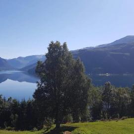 Studio Apartment in Haukedalen, hotel in Førde