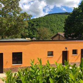 B&B Ollyfarm