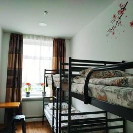 Art Galery Hostel