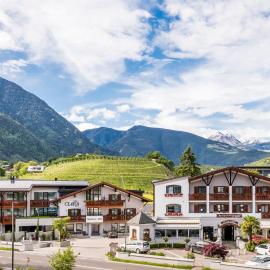 Hotel Clara, hotel Bressanonéban