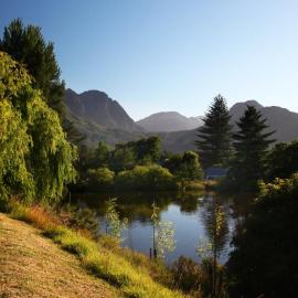 Bo La Motte Farm Cottages