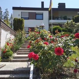 Apartments Gala, ruhige Lage, stadtnah