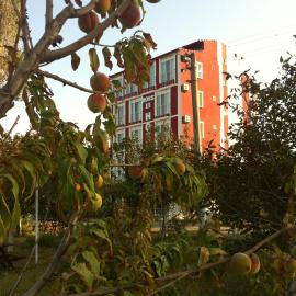 Boss 2 Hotel, Hotel in Eceabat