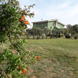 B & B Country House、カポテッラのホテル
