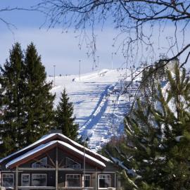 Himoshovi Cottages, hotel Jämsäben