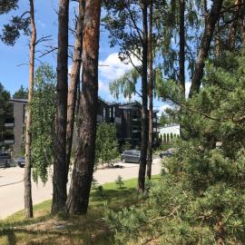 Luxury harmony in Vanagupe, hotel in Palanga