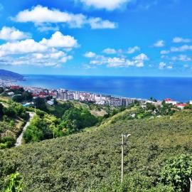 Paradise Villa Trabzon, hotell i Trabzon