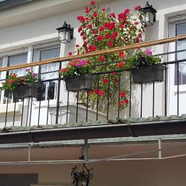 Les Iris Chambres d’hôte، فندق في Niedermorschwihr
