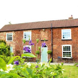 The Vine B & B