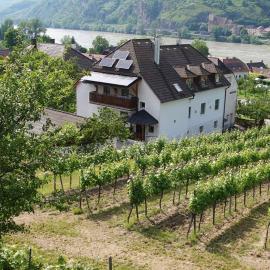 Weingut & Gästezimmer Pammer