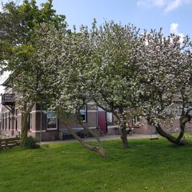 Hunsingo Texel, hotel v destinaci De Cocksdorp