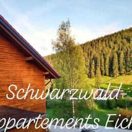 BERGZAUBER Schwarzwald-Appartements EICHE, hotel in Feldberg