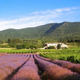 Gîtes du Château d'Alençon