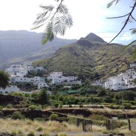Lagarto, hotel v destinaci Agaete