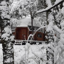 Domos Entre Bosques, Hotel in Malalcahuello