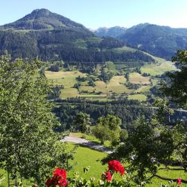 Biobergbauernhof Bergzeit Apartment in Goldegg