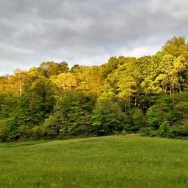 Altenbrauch Farm - Camping in the Hocking Hills, hotel em Stella