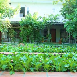 My Parents Guesthouse