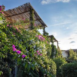 La Jacia Hotel & Resort โรงแรมในบายาซาร์ดิเนีย
