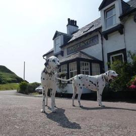 Argyll Hotel, hotell sihtkohas Bellochantuy