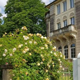 Hotel Villa Lalee