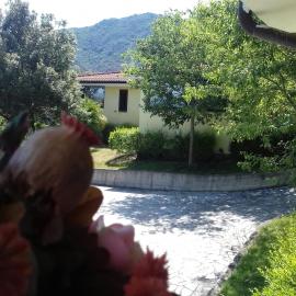 Case Vacanze Corongiu