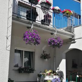 Ferienwohnung-Kiefer, hotell i Hillscheid