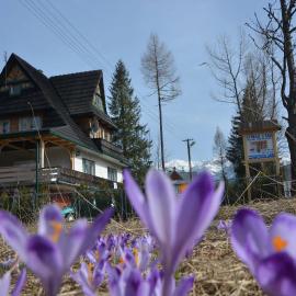 Pokoje u Kasi przy Dol. Chochołowskiej, hotel in Witów