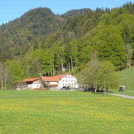 Gasthof Fallmühle, ξενοδοχείο σε Pfronten