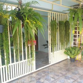 297 Nature Residence