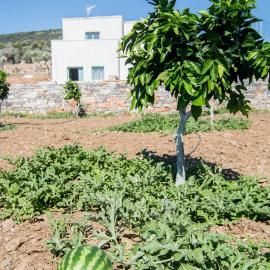 Ligaridia Apartments, hotel in Moutsouna Naxos