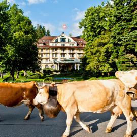 Le Grand Bellevue, Hotel in Gstaad