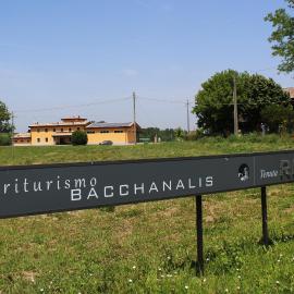 Agriturismo Bacchanalis, hotel in Ziano Piacentino